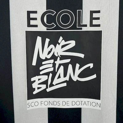 2025-2026 Angers SCO Local Kit